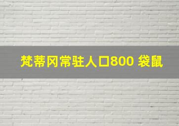 梵蒂冈常驻人口800 袋鼠